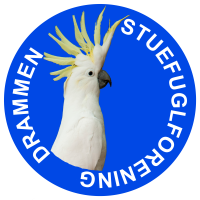 DSF Logo rund blå 2
