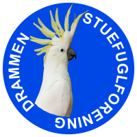 DSF Logo rund blå 2 DSF Logo rund blå 2